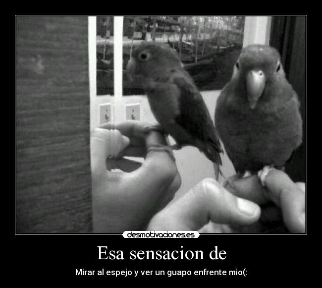 Esa sensacion de - Mirar al espejo y ver un guapo enfrente mio(: