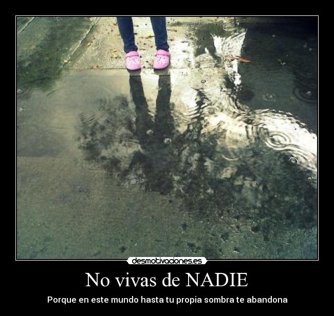 carteles sangre sali perfil men amanecer crepusculo lina sara camila marcela blackberry desmotivaciones