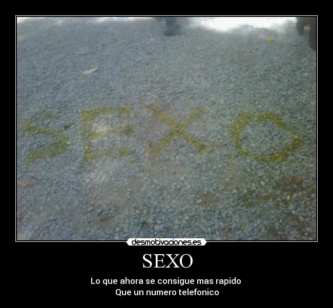 SEXO -
