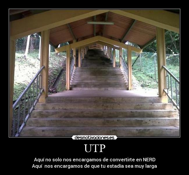 UTP -