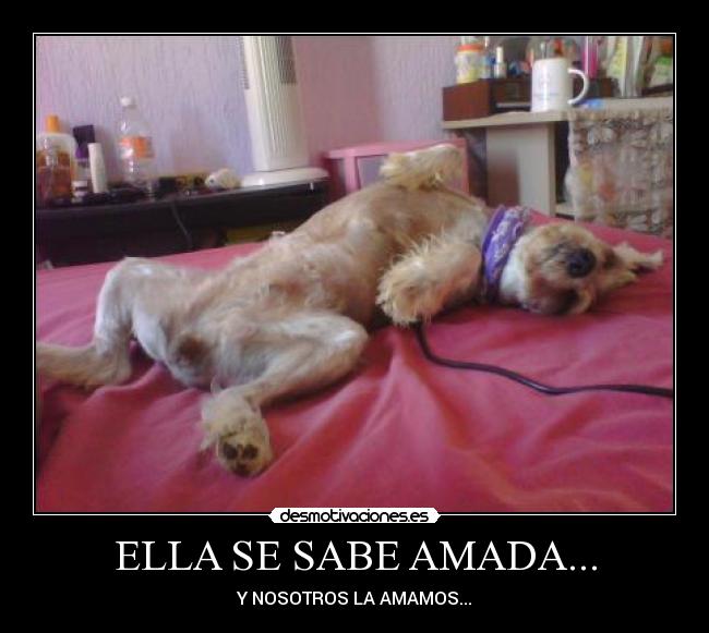 ELLA SE SABE AMADA... - Y NOSOTROS LA AMAMOS...