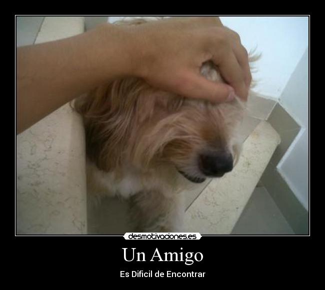 Un Amigo -