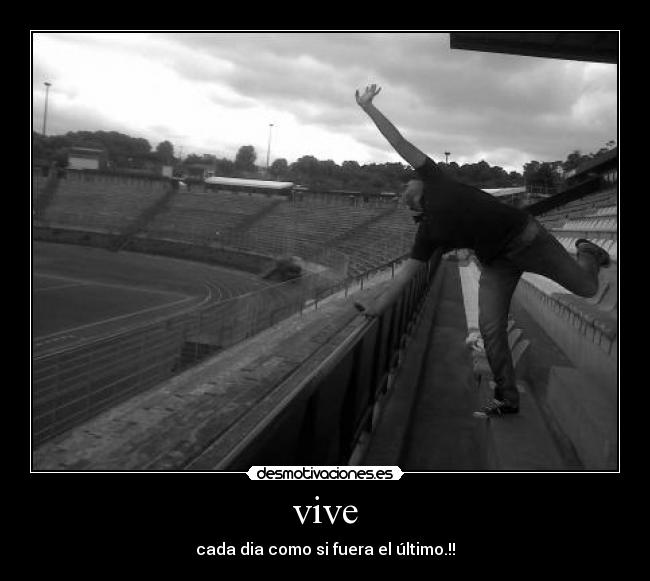 vive - 
