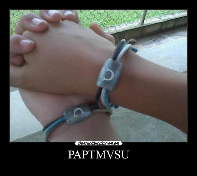 PAPTMVSU - 