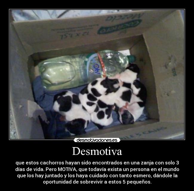 Desmotiva - 