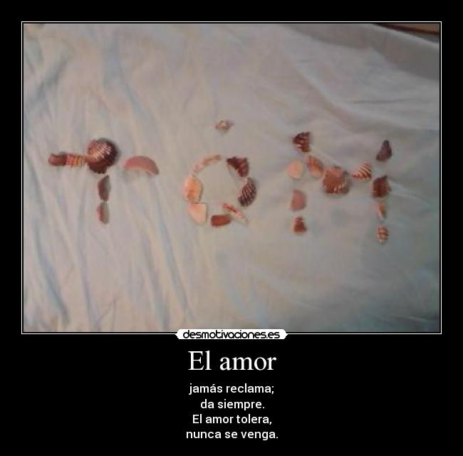 El amor - 