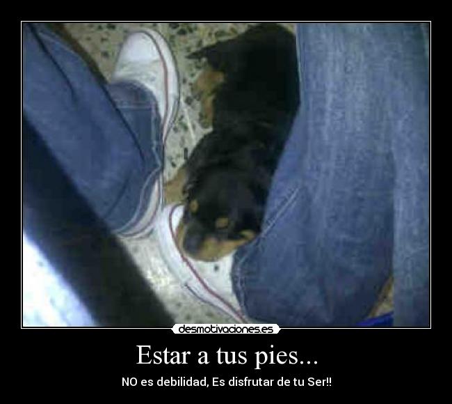 Estar a tus pies... - 