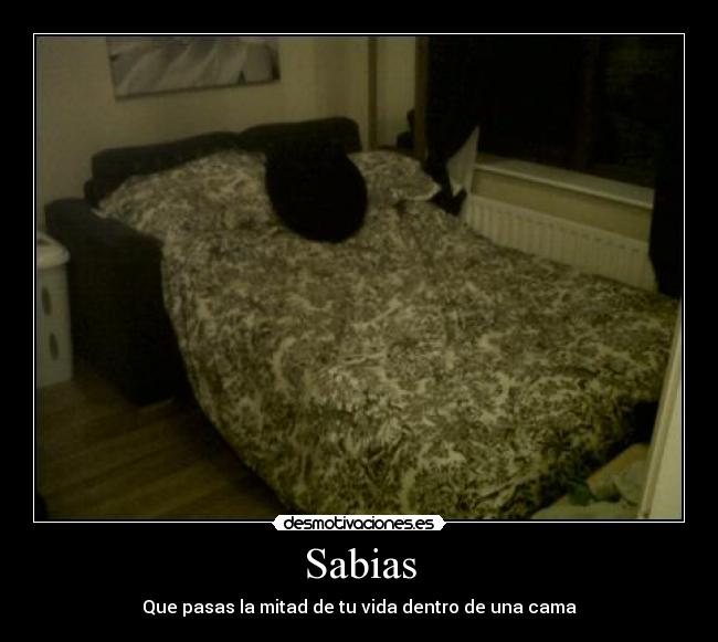 Sabias - Que pasas la mitad de tu vida dentro de una cama