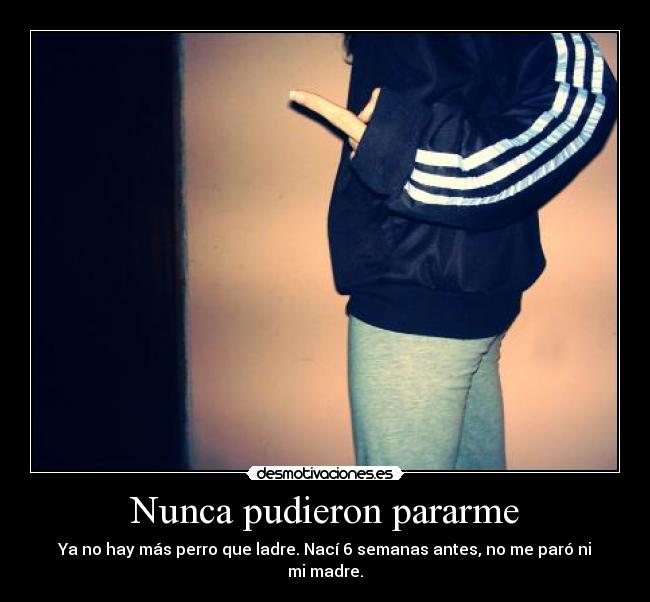 Nunca pudieron pararme - Ya no hay más perro que ladre. Nací 6 semanas antes, no me paró ni mi madre.