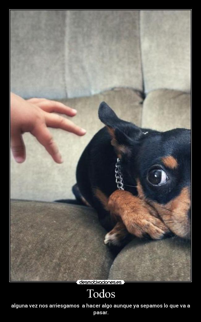 Todos - alguna vez nos arriesgamos a hacer algo aunque ya sepamos lo que va a pasar.