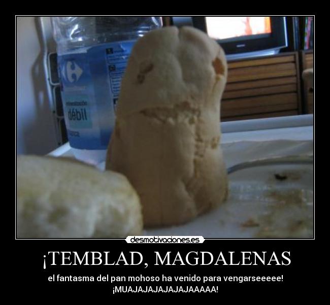 ¡TEMBLAD, MAGDALENAS - 