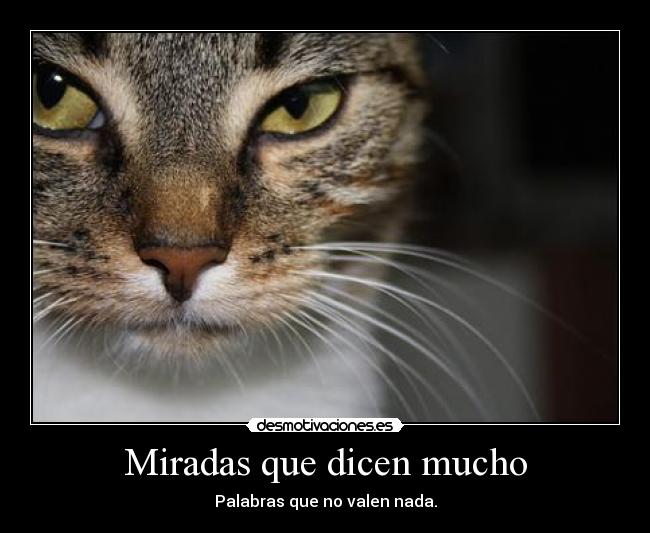 Miradas que dicen mucho - Palabras que no valen nada.