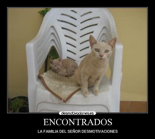 ENCONTRADOS -