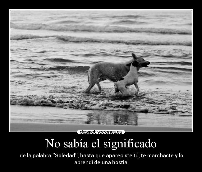 No sabía el significado - 