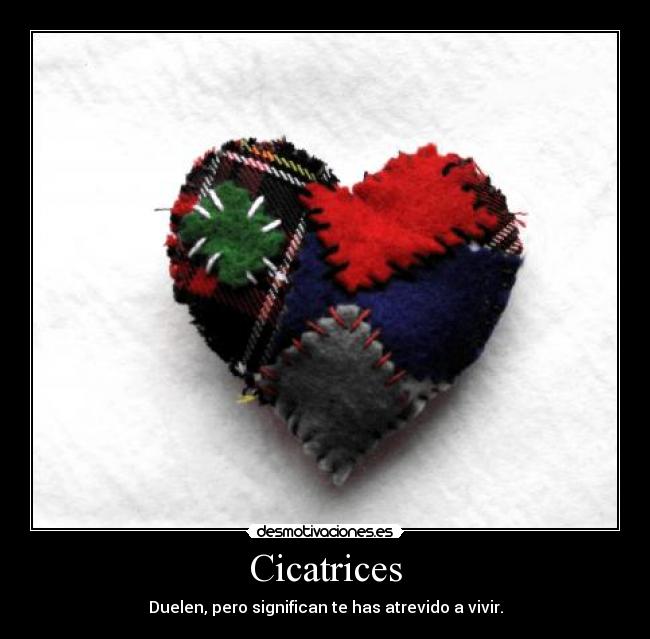 Cicatrices - Duelen, pero significan te has atrevido a vivir.