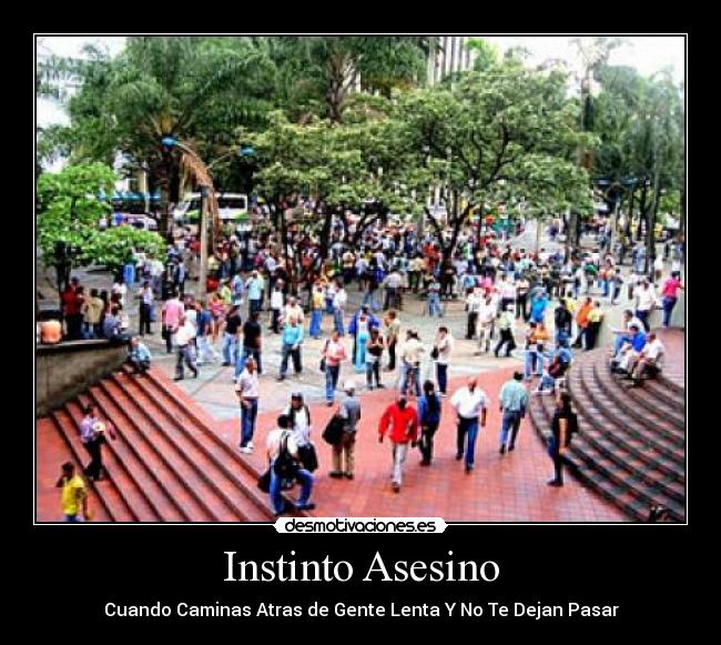 Instinto Asesino - Cuando Caminas Atras de Gente Lenta Y No Te Dejan Pasar