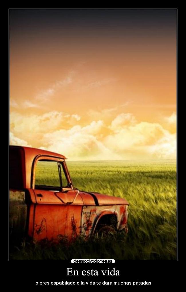 En esta vida - o eres espabilado o la vida te dara muchas patadas