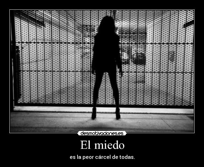 carteles miedo miedo desmotivaciones
