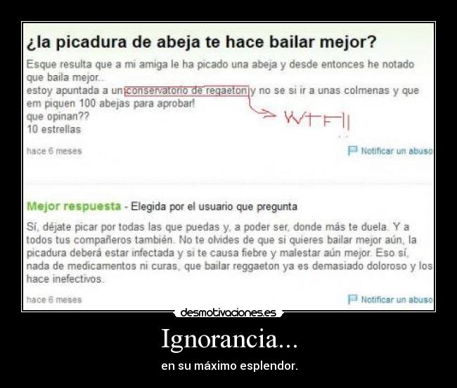 Ignorancia... - en su máximo esplendor.