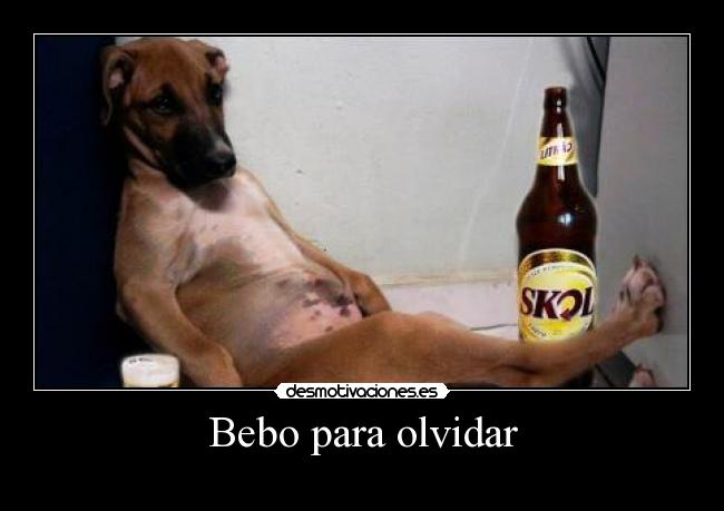 Bebo para olvidar -