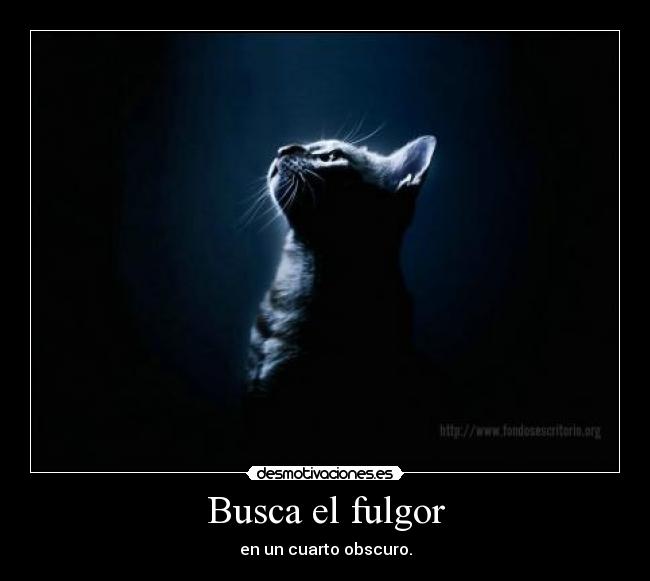 carteles gatosobscuro desmotivaciones