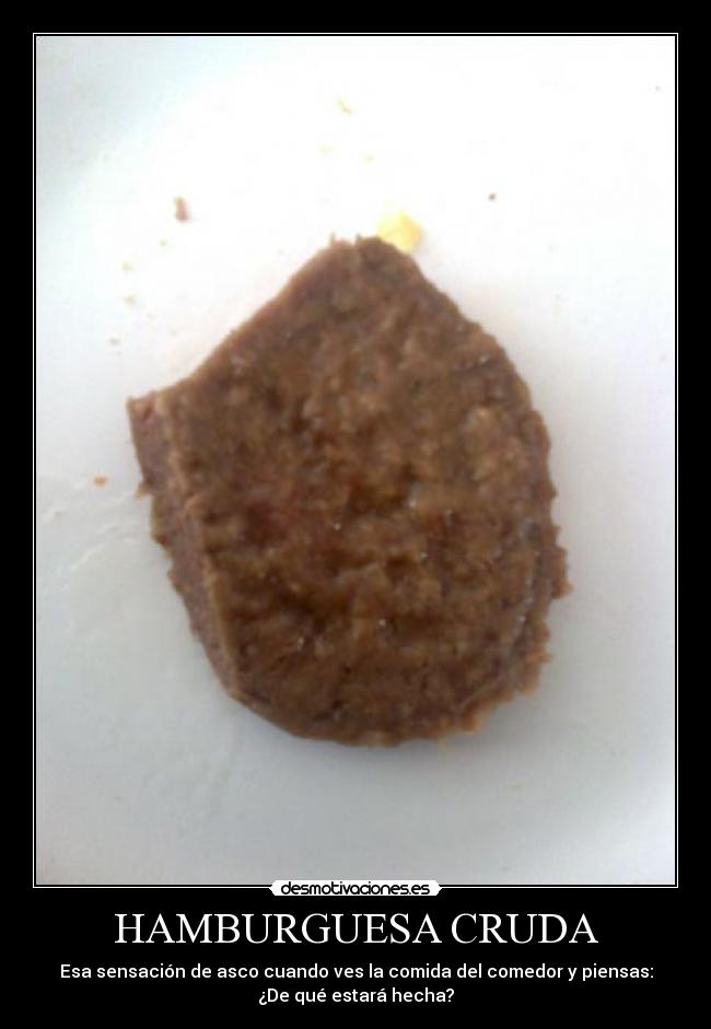 HAMBURGUESA CRUDA -