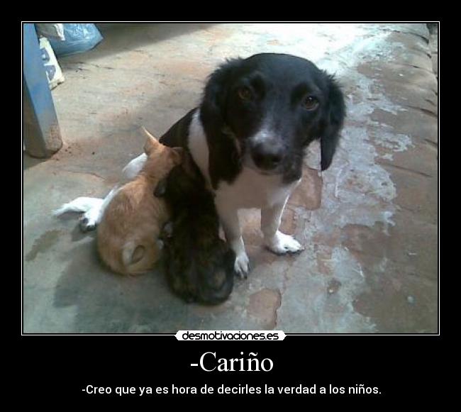 -Cariño - -Creo que ya es hora de decirles la verdad a los niños.