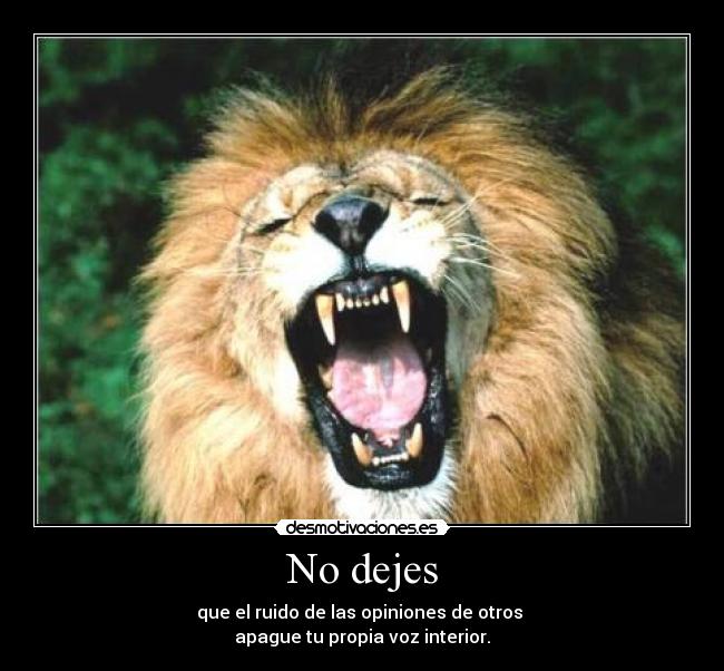 No dejes - 
