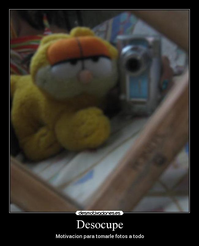 Desocupe - Motivacion para tomarle fotos a todo
