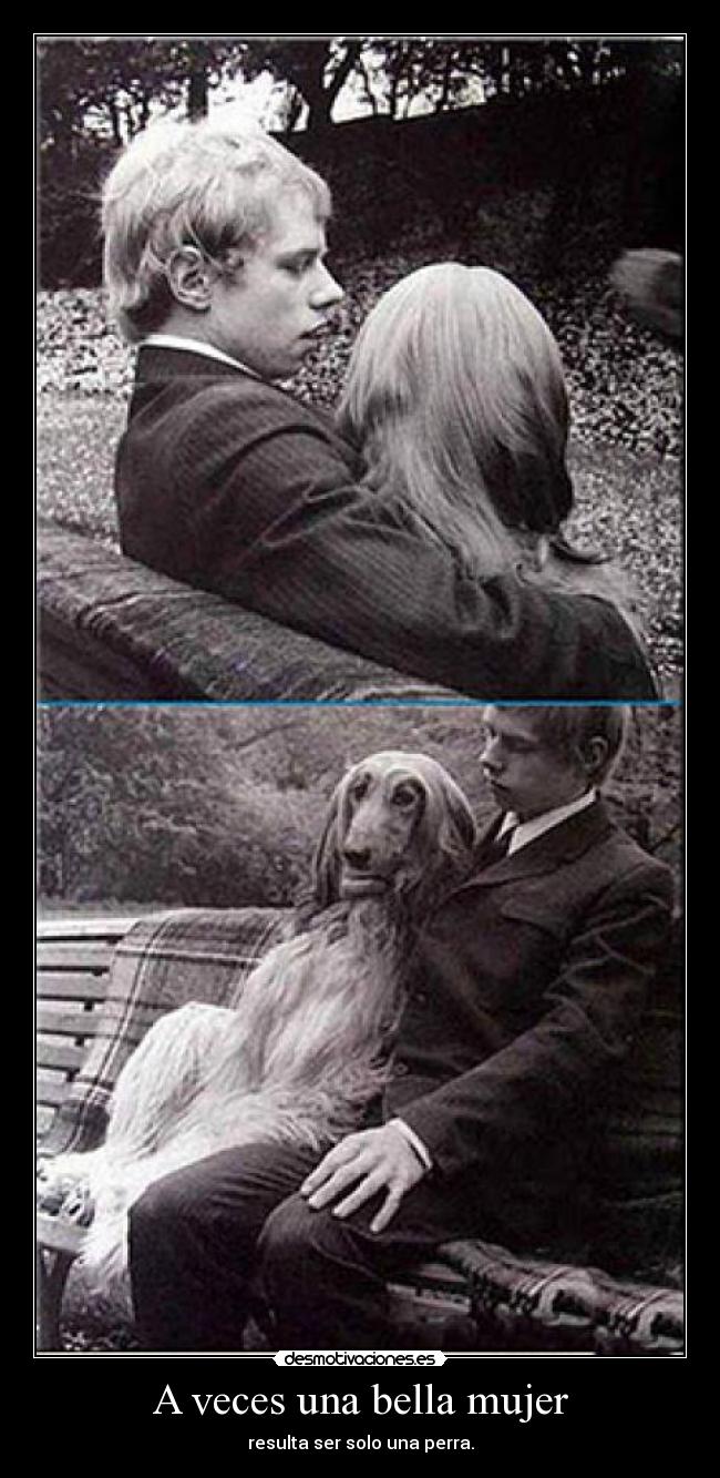 A veces una bella mujer - resulta ser solo una perra.