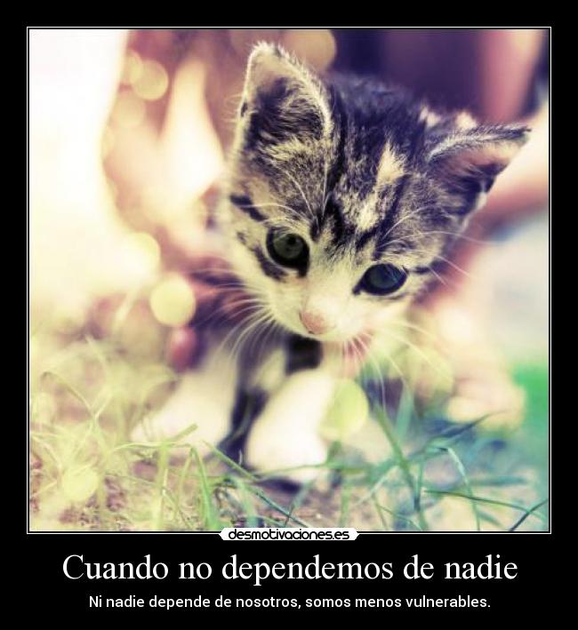 Cuando no dependemos de nadie - 
