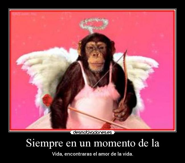 Siempre en un momento de la -