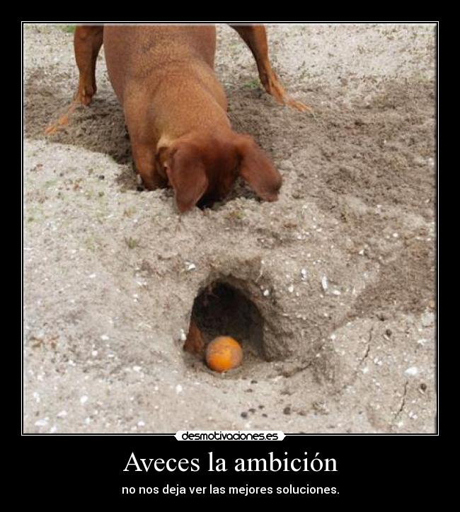 Aveces la ambición - no nos deja ver las mejores soluciones.
