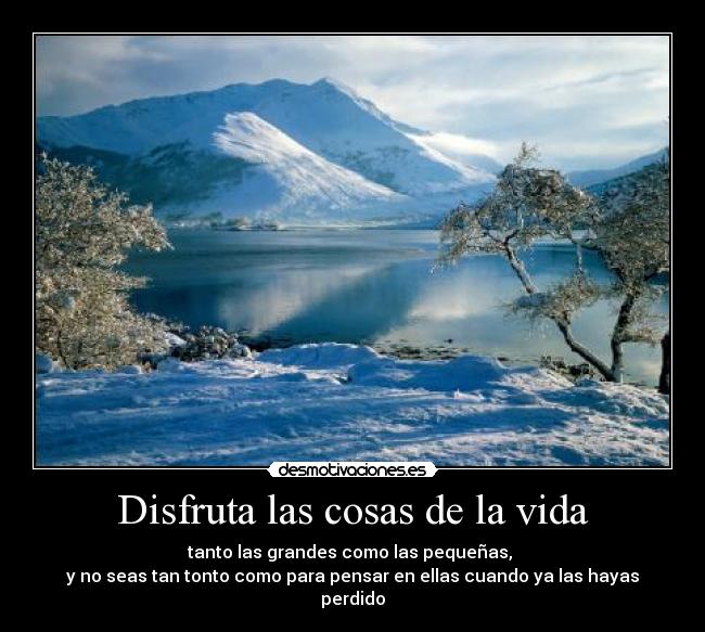 Disfruta las cosas de la vida - tanto las grandes como las pequeñas, 
y no seas tan tonto como para pensar en ellas cuando ya las hayas perdido
