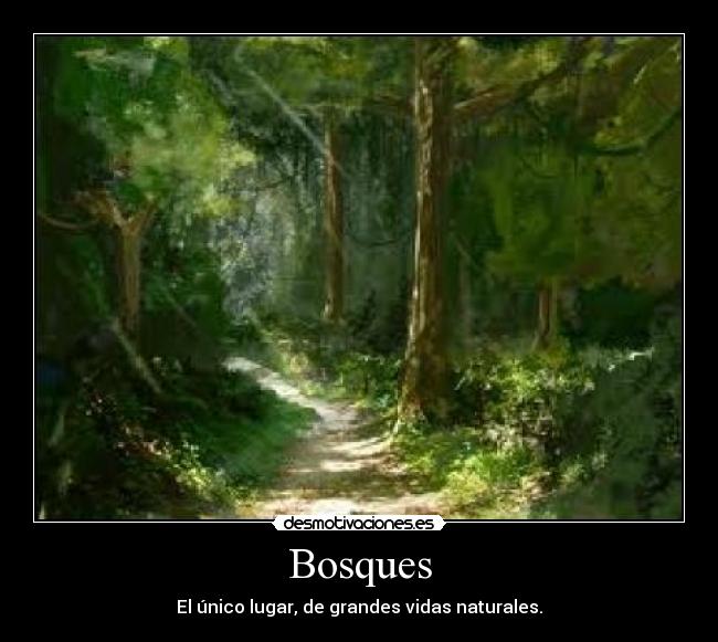 Bosques - El único lugar, de grandes vidas naturales.