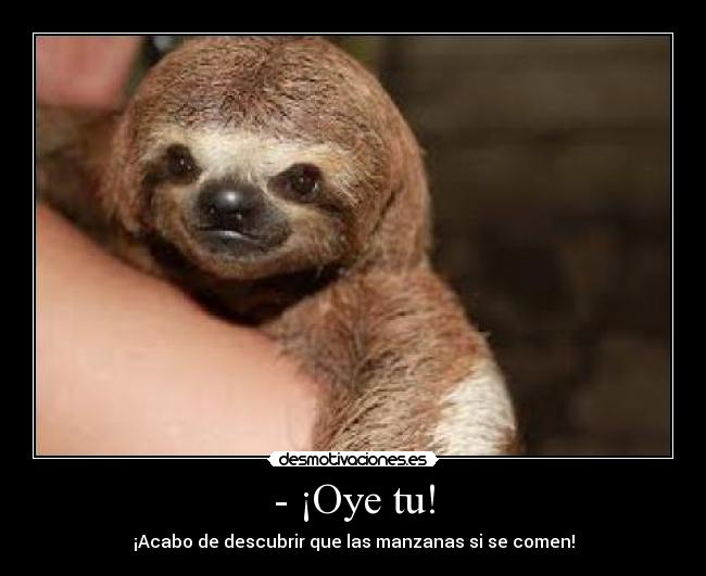 - ¡Oye tu! - ¡Acabo de descubrir que las manzanas si se comen!