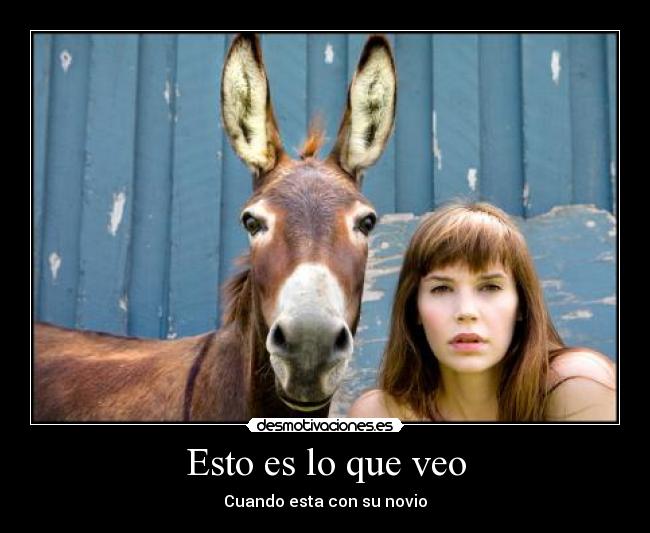 Esto es lo que veo -