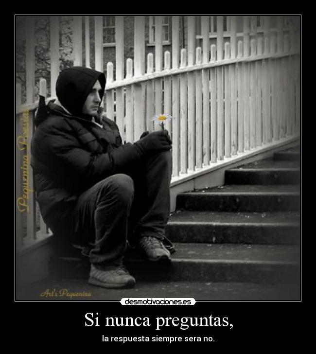 Si nunca preguntas, - la respuesta siempre sera no.