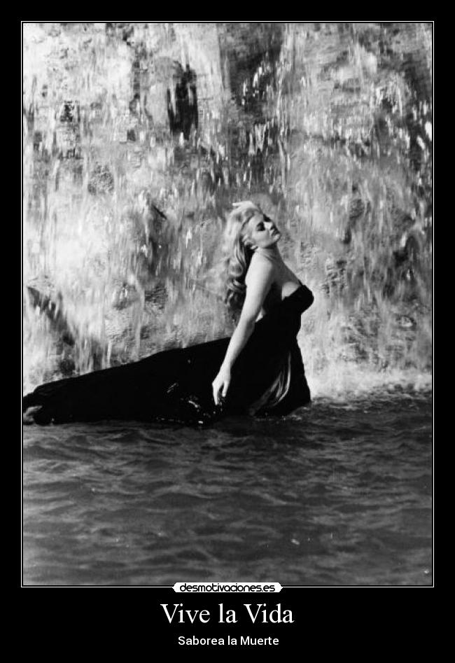 Vive la Vida - Saborea la Muerte