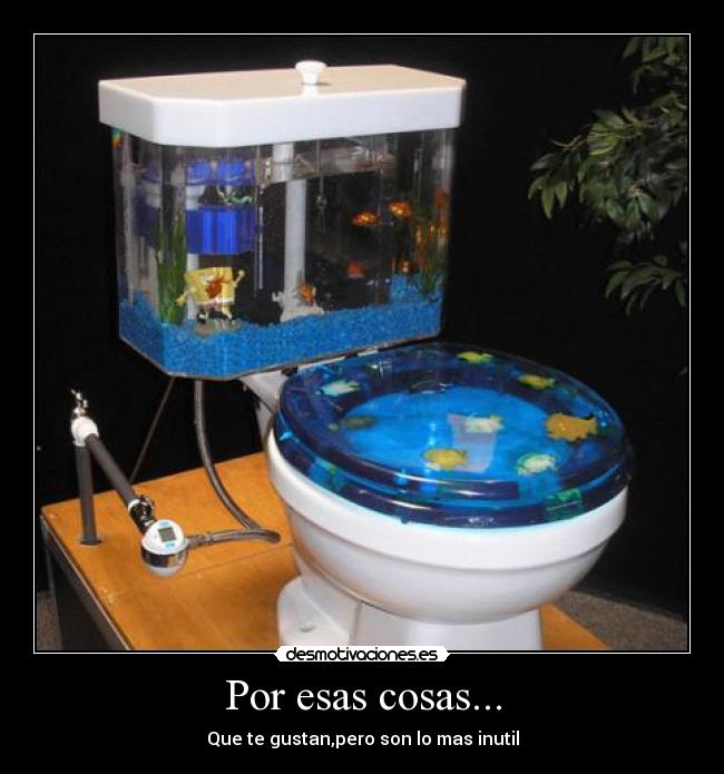 carteles vicky66 desmotivaciones