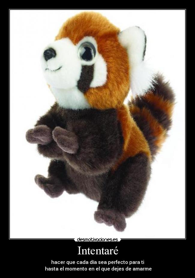 Intentaré - hacer que cada día sea perfecto para ti
 hasta el momento en el que dejes de amarme