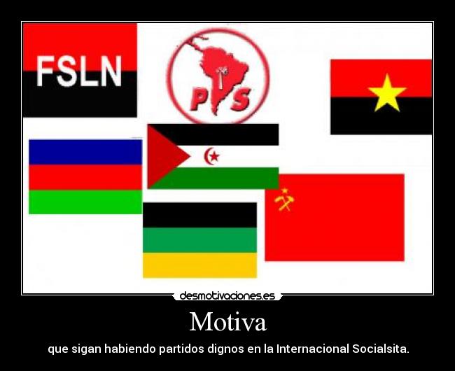 carteles clanantifas internacional socialista fsln chile mpla polisario swapo anc frelimo desmotivaciones