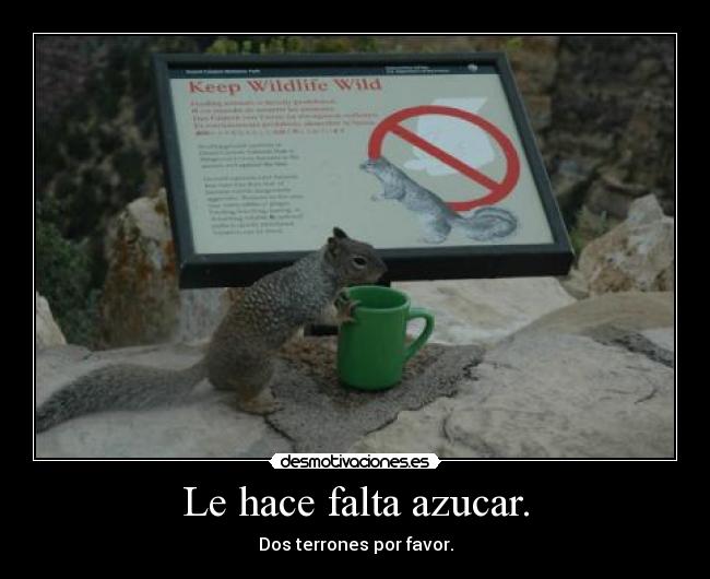 Le hace falta azucar. -