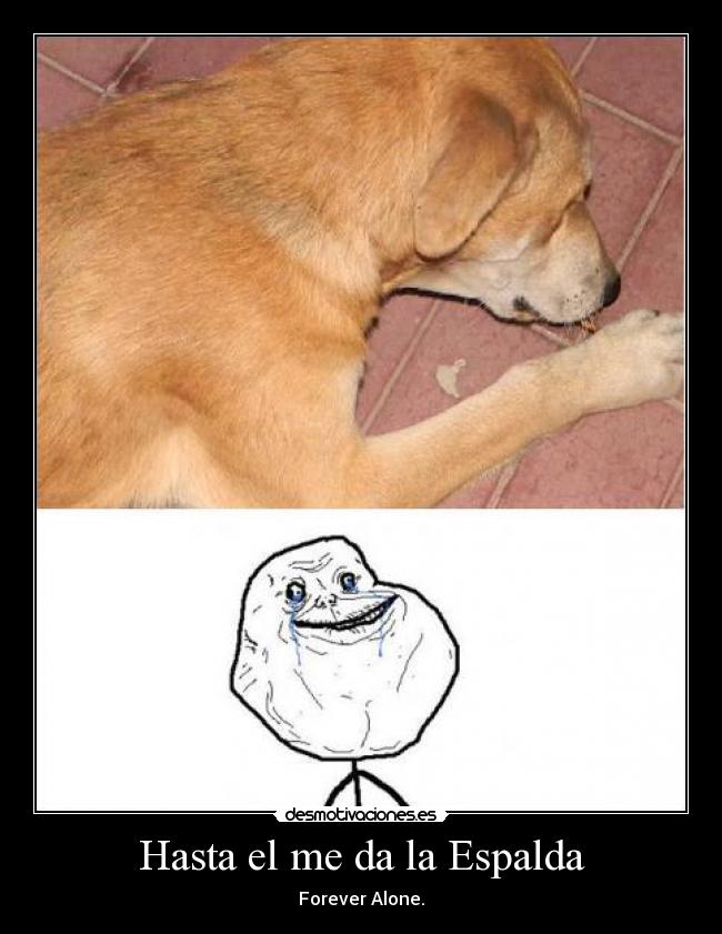 Hasta el me da la Espalda - Forever Alone.