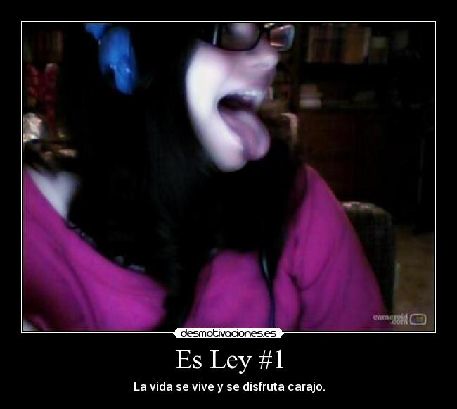 Es Ley #1 - La vida se vive y se disfruta carajo.