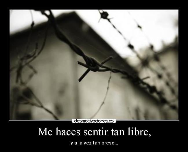 carteles elclanviral hipsalami harto ser preso porque mimimimimi bollicao desmotivaciones