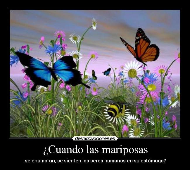 ¿Cuando las mariposas -