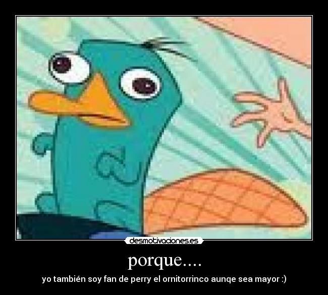 porque.... - yo también soy fan de perry el ornitorrinco aunqe sea mayor :)