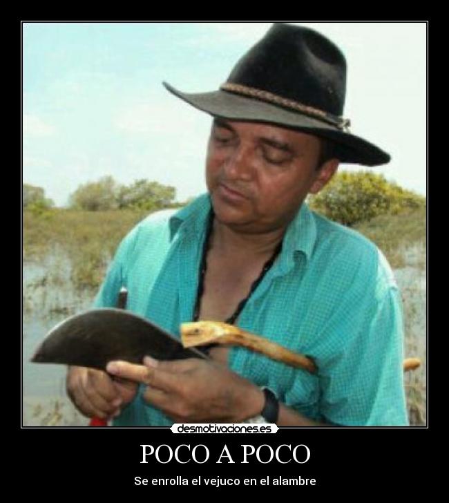 carteles desmotivaciones