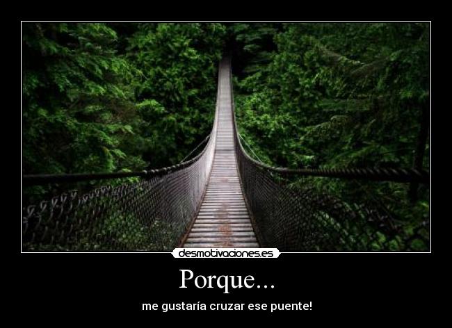 Porque... -